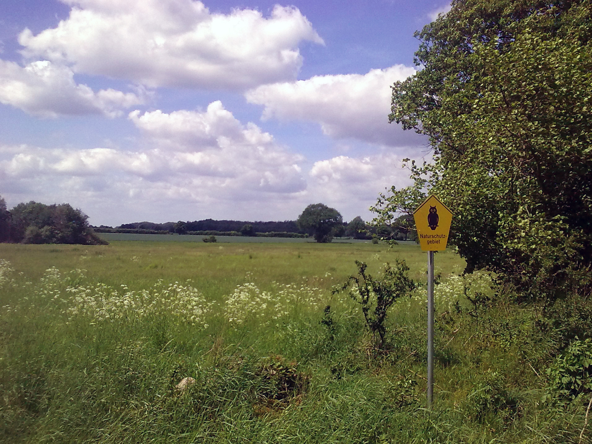 10_Schaalsee_Riek